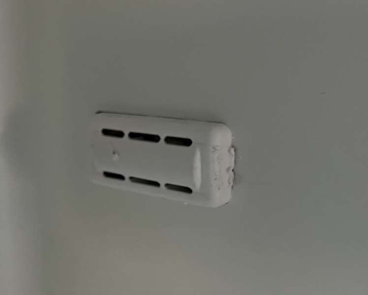 IMG 6536
