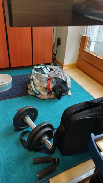 WhatsApp Bild 2025 11 06 um 10.23.36 a941e1d7