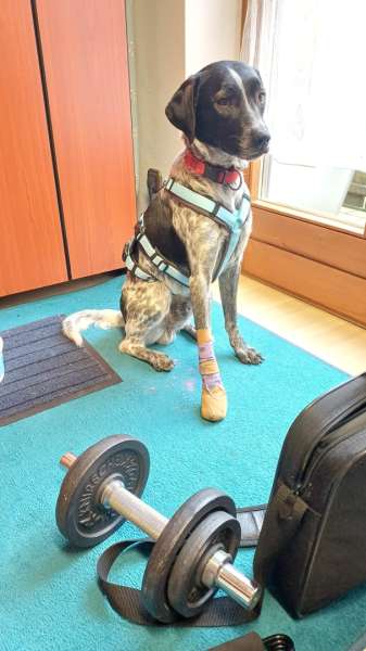 WhatsApp Bild 2025 11 06 um 14.42.12 8f8042b6