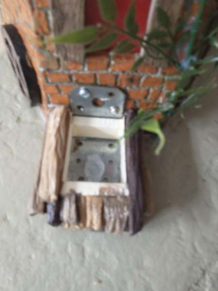 IMG 20250130 104651323
